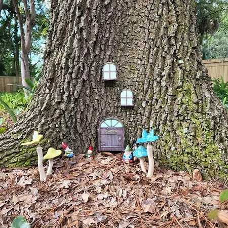 Cozy Hideaway In The Duck Pond Area Of Gainesville Esterno foto